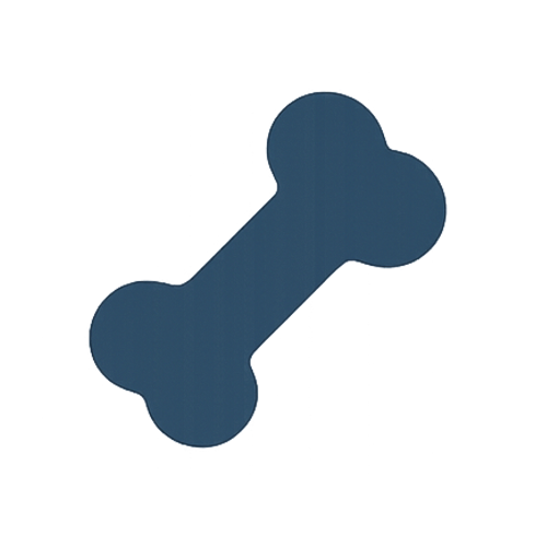 Orthopedic Physiotherapy